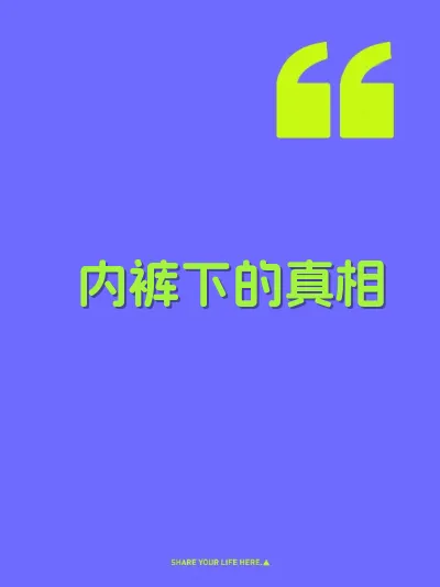内裤下的真相 封面