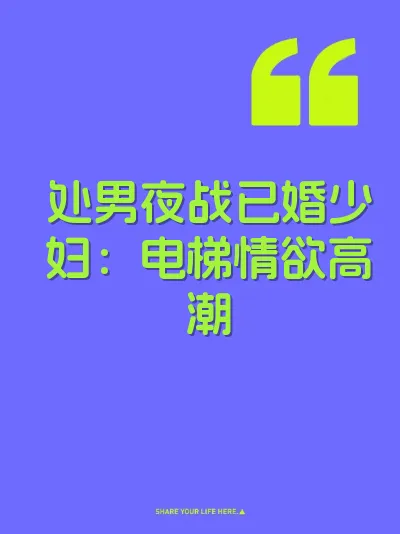 处男夜战已婚少妇：电梯情欲高潮 封面