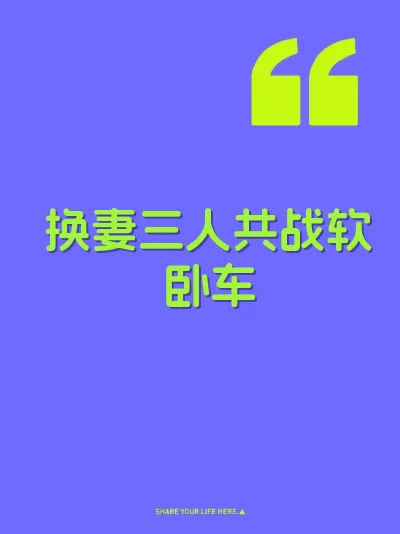 换妻三人共战软卧车 封面