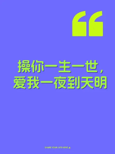 操你一生一世，爱我一夜到天明 封面