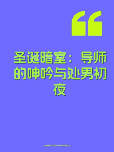 圣诞暗室：导师的呻吟与处男初夜 封面