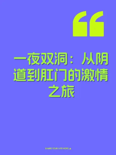 一夜双洞：从阴道到肛门的激情之旅 封面