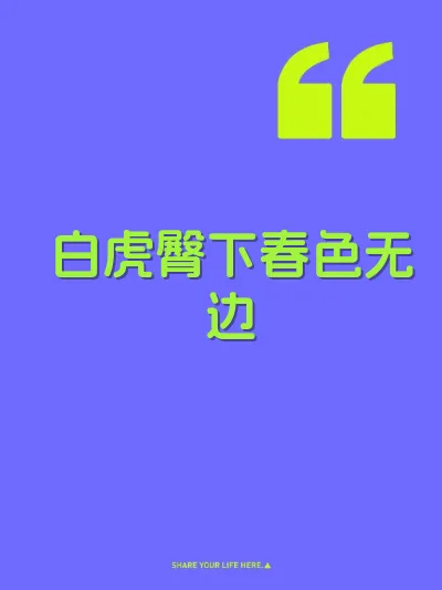 白虎臀下春色无边 封面