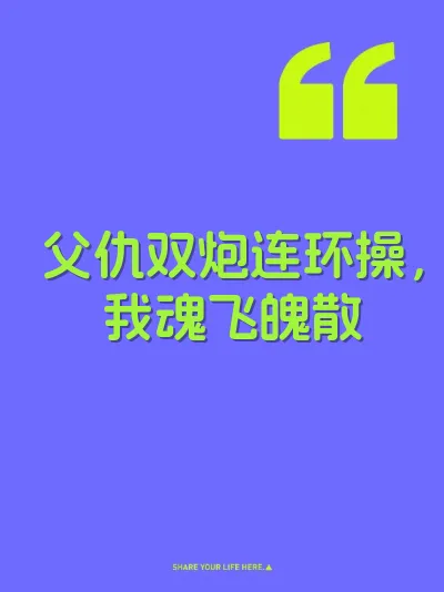 父仇双炮连环操，我魂飞魄散 封面