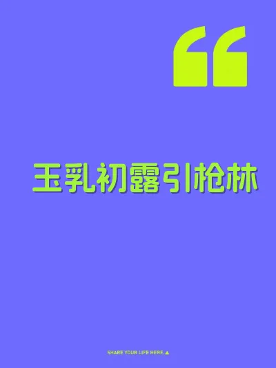 玉乳初露引枪林 封面
