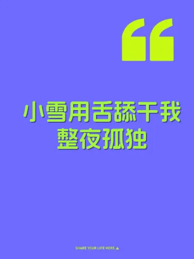 小雪用舌舔干我整夜孤独 封面