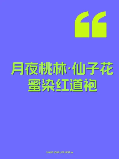 月夜桃林·仙子花蜜染红道袍 封面
