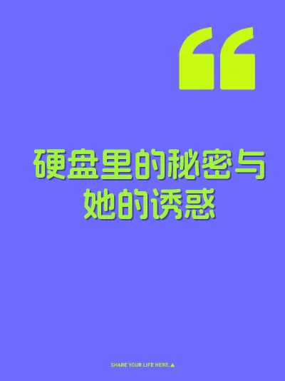 硬盘里的秘密与她的诱惑 封面