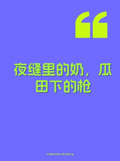 夜缝里的奶，瓜田下的枪 封面