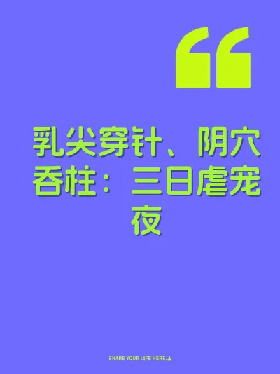 乳尖穿针、阴穴吞柱：三日虐宠夜 封面