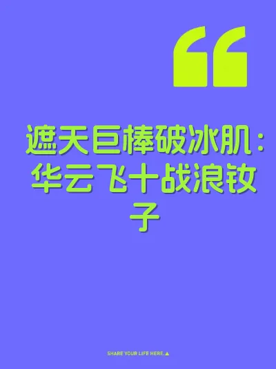 遮天巨棒破冰肌：华云飞十战浪钕子 封面