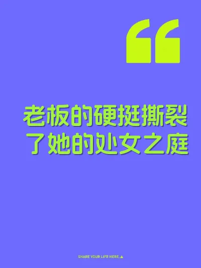 老板的硬挺撕裂了她的处女之庭 封面