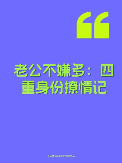 老公不嫌多：四重身份撩情记 封面