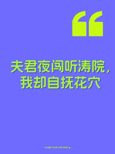 夫君夜闯听涛院，我却自抚花穴 封面