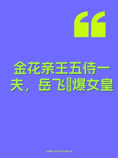 金花亲王五侍一夫，岳飞肏爆女皇 封面