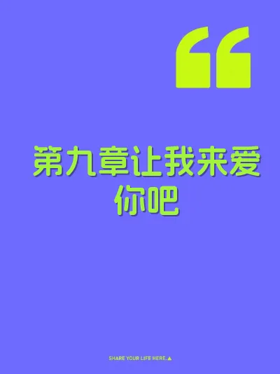 第九章让我来爱你吧 封面