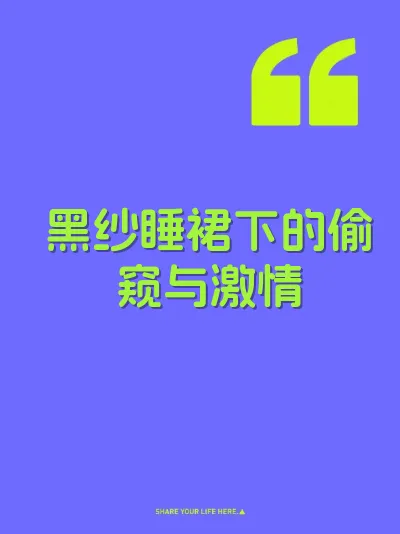 黑纱睡裙下的偷窥与激情 封面