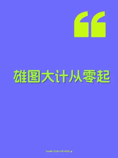 雄图大计从零起 封面
