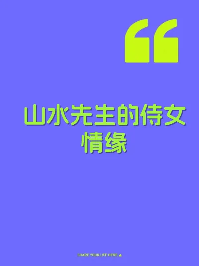 山水先生的侍女情缘 封面