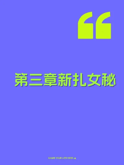 第三章新扎女秘 封面