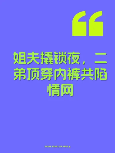 姐夫撬锁夜，二弟顶穿内裤共陷情网 封面