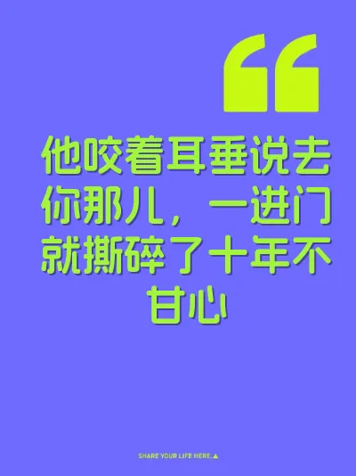 他咬着耳垂说去你那儿，一进门就撕碎了十年不甘心 封面
