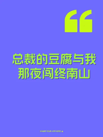 总裁的豆腐与我那夜闯终南山 封面