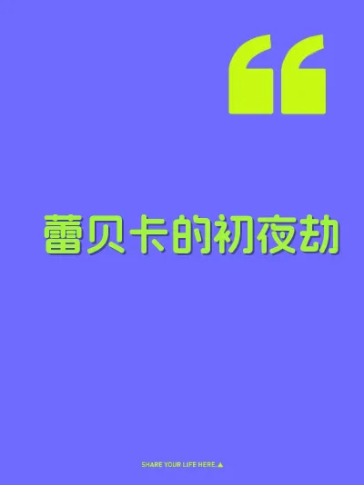 蕾贝卡的初夜劫 封面