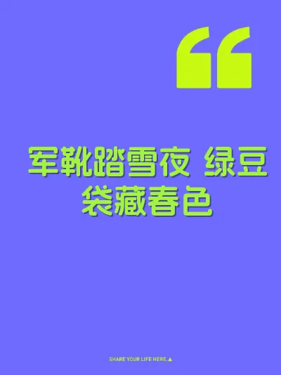 军靴踏雪夜 绿豆袋藏春色 封面