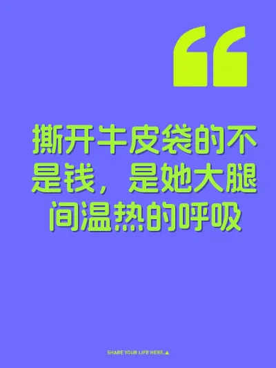 撕开牛皮袋的不是钱，是她大腿间温热的呼吸 封面