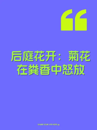 后庭花开：菊花在粪香中怒放 封面