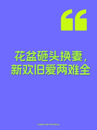 花盆砸头换妻，新欢旧爱两难全 封面