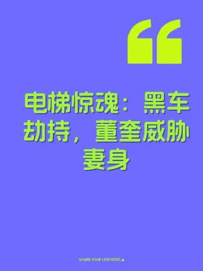 电梯惊魂：黑车劫持，董奎威胁妻身 封面