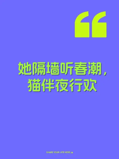 她隔墙听春潮，猫伴夜行欢 封面