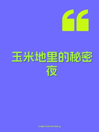 玉米地里的秘密夜