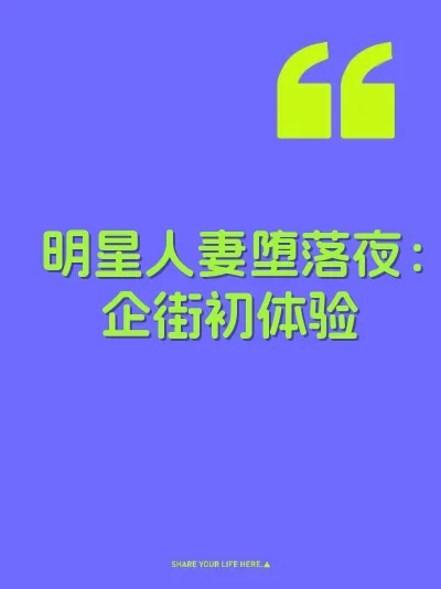 明星人妻堕落夜：企街初体验 封面