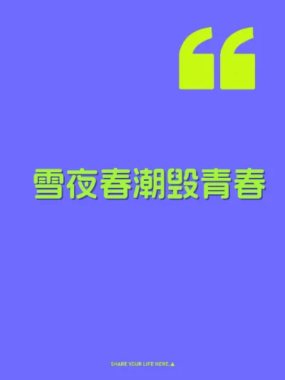 雪夜春潮毁青春 封面