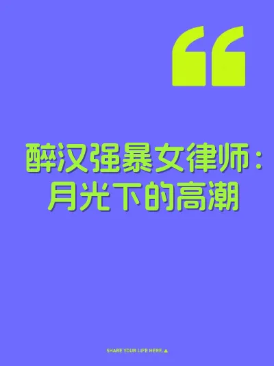 醉汉强暴女律师：月光下的高潮 封面