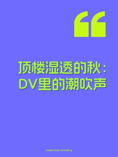 顶楼湿透的秋：DV里的潮吹声 封面