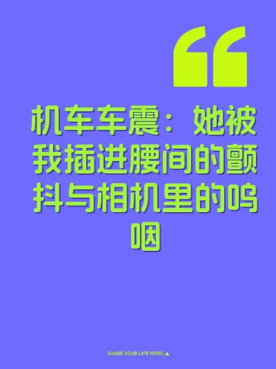 机车车震：她被我插进腰间的颤抖与相机里的呜咽 封面