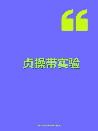 贞操带实验 封面