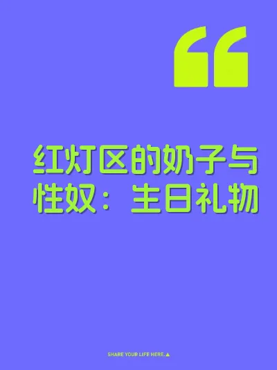 红灯区的奶子与性奴：生日礼物 封面