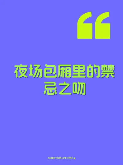 夜场包厢里的禁忌之吻 封面