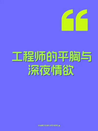 工程师的平胸与深夜情欲 封面