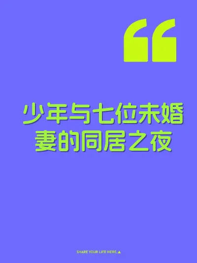 少年与七位未婚妻的同居之夜 封面