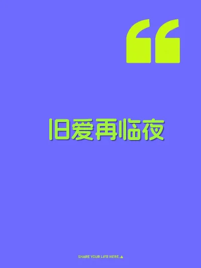 旧爱再临夜 封面