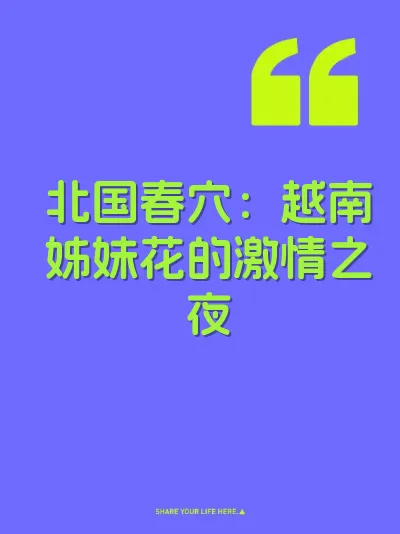 北国春穴：越南姊妹花的激情之夜 封面