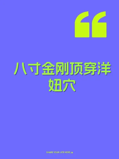 八寸金刚顶穿洋妞穴 封面