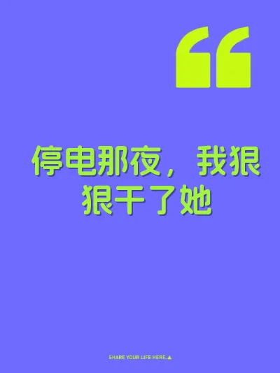 停电那夜，我狠狠干了她 封面