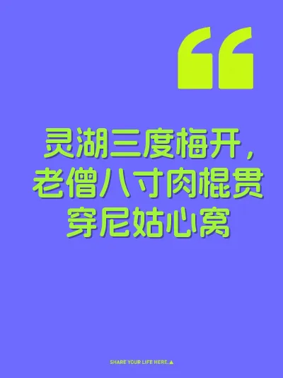 灵湖三度梅开，老僧八寸肉棍贯穿尼姑心窝 封面